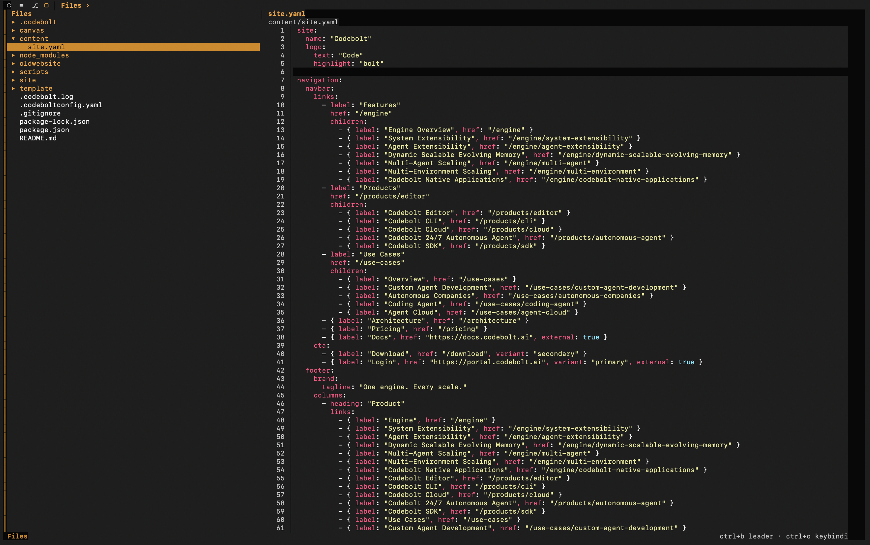 Codebolt CLI project workspace with file tree and editor-style terminal panels