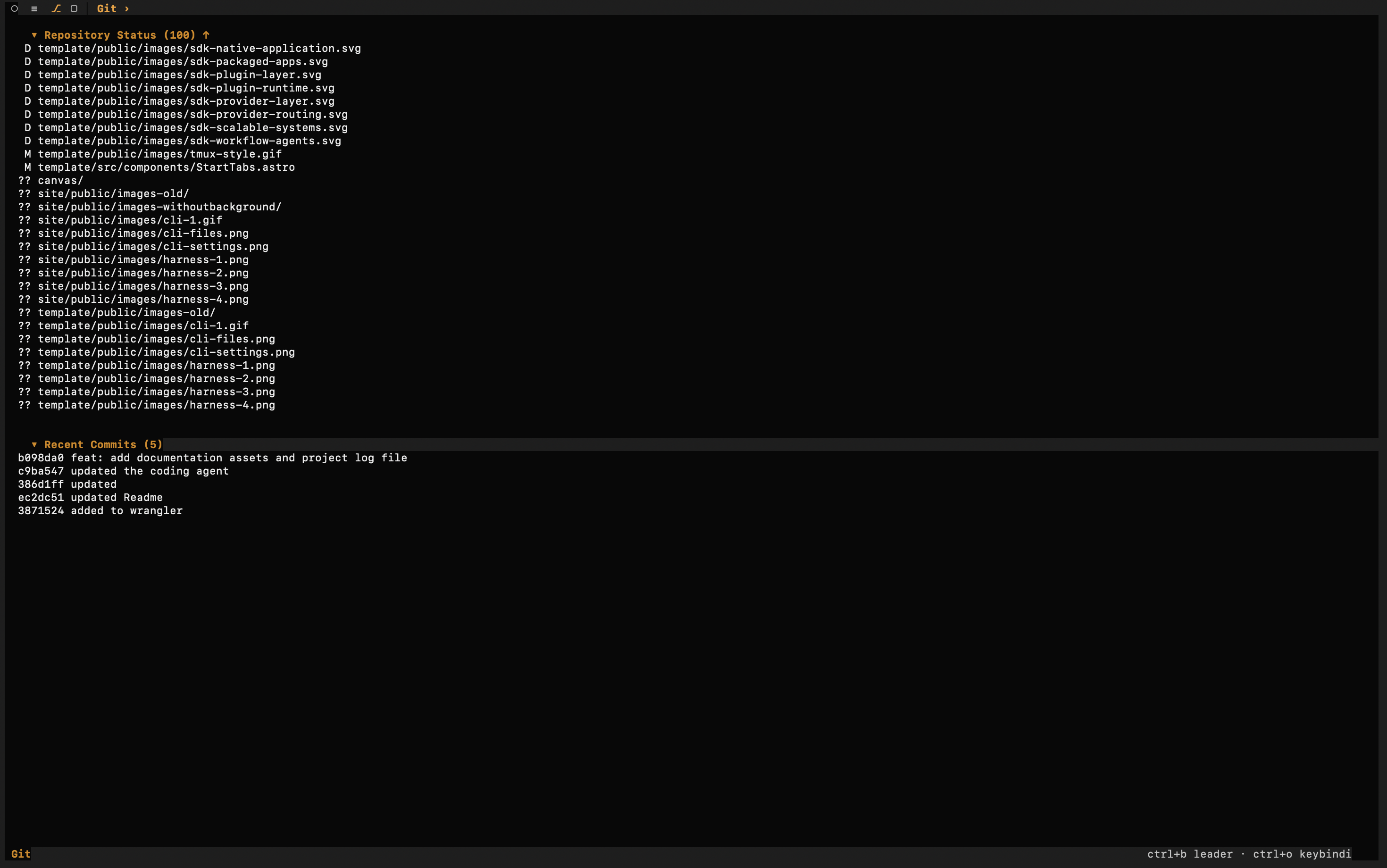 Codebolt CLI git panel showing changed files and repository status